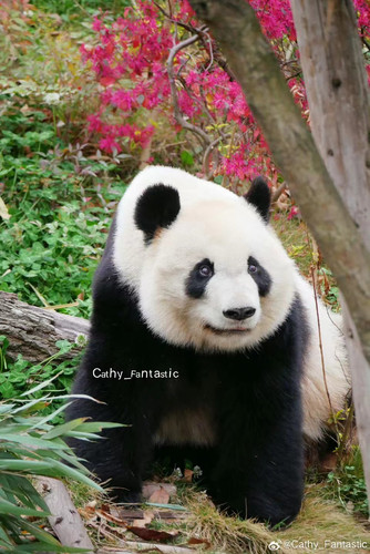 微信图片 20240712140439.jpg