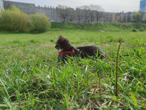 IMG 20240407 115925.jpg