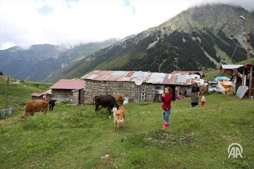 450559360 816438850624553 8137680122716210812 n.jpg?stp=dst jpg p526x395& nc cat=110&ccb=1 7& nc sid.jpg