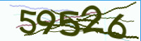 captcha.png