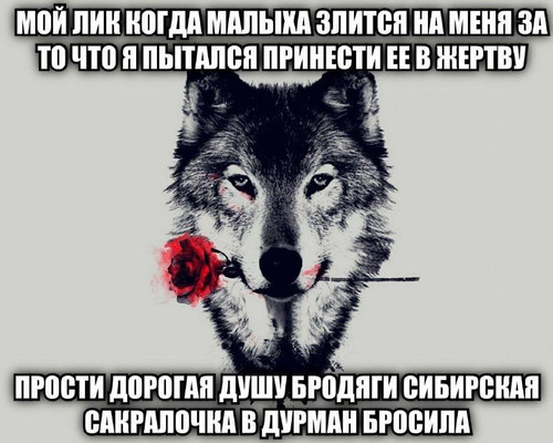 Qwchb ITQO22hRVHINTwMgkMC5mNu9 GM 3Na6sOWgv9wjUE9B8bIRWPHShS9vwVtmwVulxD1Mp9UVEVP 8Xbn6GI mDkjMpQG1b.jpg
