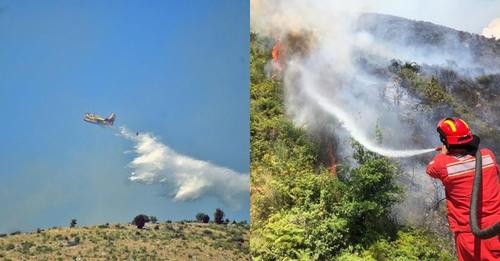 12192055708834712353?url=https%3A%2F%2Falbeu.com%2Fwp content%2Fuploads%2F2024%2F07%2F640 0 17208006.jpg