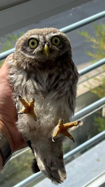 450578371 877837834370770 4123741690749260474 n.jpg?stp=dst jpg s600x600& nc cat=102&ccb=1 7& nc sid.jpg