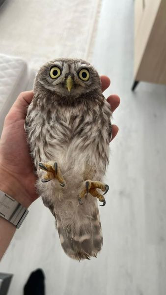 450810473 877837827704104 310032807975444490 n.jpg?stp=dst jpg s600x600& nc cat=103&ccb=1 7& nc sid=.jpg