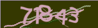 captcha.png