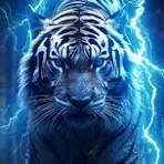 image 2024 07 12 181930778.png