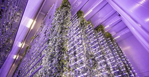 450552754 469976369008194 8225932496787573982 n.jpg?stp=c0.5x0.5f dst jpg flffffff p500x261 q75& nc .jpg