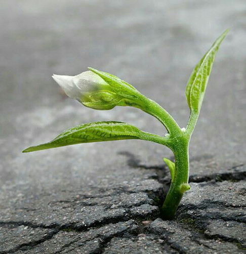 FG6ZjtUPOwhcPLU4FWR2auywlpslJ8k5vsGDY9aUVOaWMYbfvKYCqYk wtn4w42LW fjX9ekbQHyRglbxJr 4HapUR3 lXrYguq4.jpg