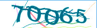 captcha.png
