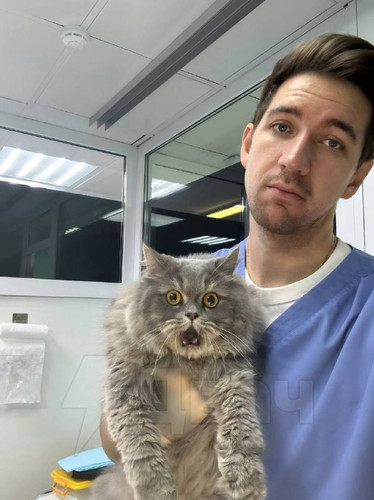 FbDEf8mj81YgYYPDZjo gO9aMo6HPx PKPFXsb08Mj8NUAZaWaWRyGtSVHtGNFOry4EpLF9j6dBfBhXRr5t2Vy4fGM1y07WcM84h.jpg