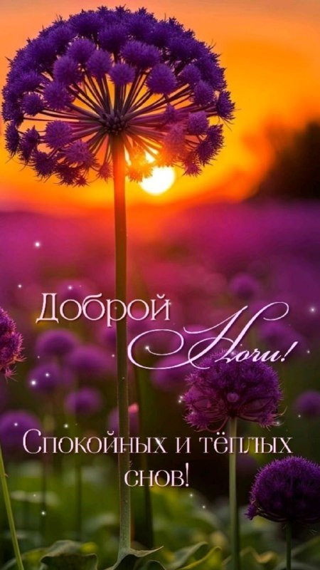 ATTXhtDfyk1x9Ok43StI8MEZxvJIQB8w1dw2YgQWjrnNlDVLnqb84dOrC7YmAhlBvaq9f8 fzX4gzpSAil1PR9uGoYOVrarvkadG.jpg