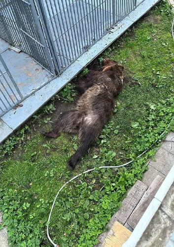 REXZJf0B8vQjY2LLyvvsSUR qyrtW4VjxKlWoo zovl8zsB6IAM3lSC1PgGo2ckXyAFUm 8knbu9GPOjowpm tZG78 8ppayxYoN.jpg