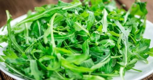 8594582525988270798?url=https%3A%2F%2Fshqiptarja.com%2Fuploads%2F780x440%2F1720817314 rukola.JPG&fb .jpg