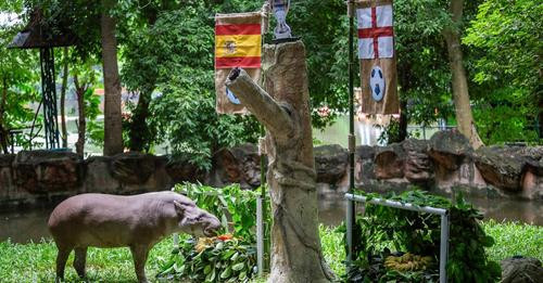 16799478132695366628?url=https%3A%2F%2Fberliner zeitung.imgix.net%2F2024%2F07%2F12%2F713afa3e 2205 4.jpg