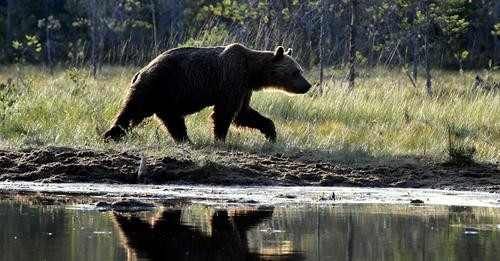 16574943696466179355?url=https%3A%2F%2Fberliner zeitung.imgix.net%2F2024%2F07%2F12%2Feaaa5b13 f3d3 4.jpg