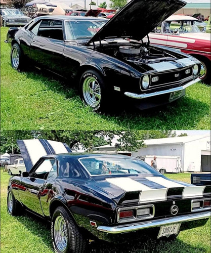 769321b76656.jpg