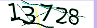captcha.png