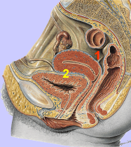 f463460aa70c.png