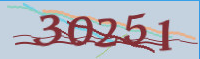 captcha.png