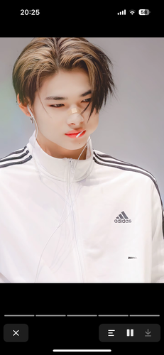 IMG 4760.png