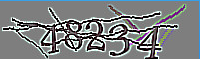captcha.png