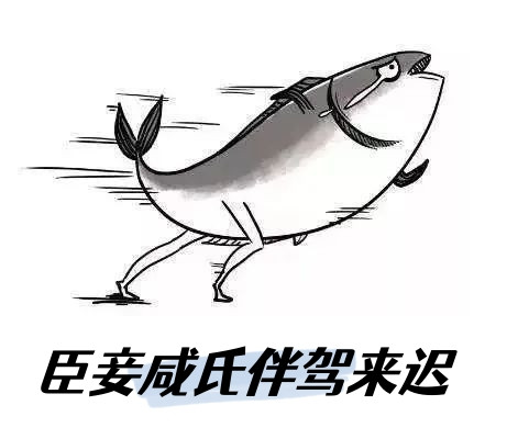 67000d999b8483b47ea5ea3cc11e9586.jpg