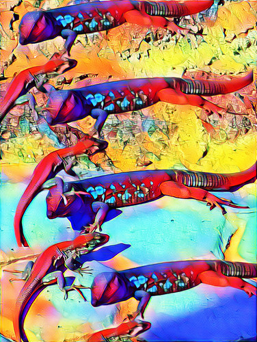 C2A50BC6 40EC 4C79 B3A0 2C41E16A5C7B.jpg