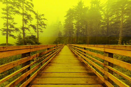 brige1 sample.png