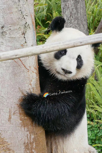 微信图片 20240712091530.jpg