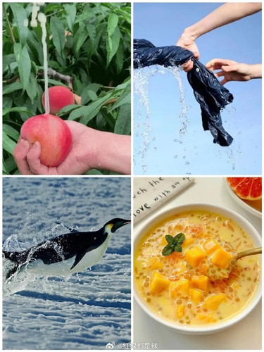 0062M5gogy1hrkywcnjkbj30u0140dr8.jpg