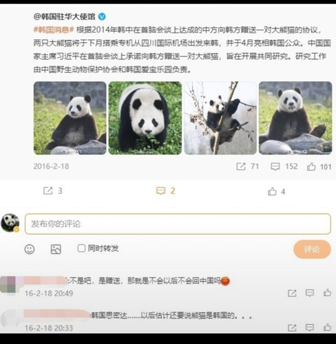 Screenshot 20240601 125234.jpg