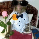 monkeys2bynorufx by fstikbot agaddyyaaiqkiuo AgADdyYAAiqKIUo gif ezgif.com video to gif converter.gif