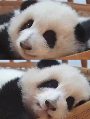 微信图片 20240712094706.jpg