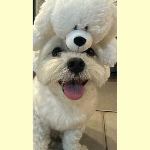 4BDC1C0E A446 4616 8C1C 5C13D73FF9C6.jpg