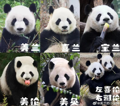 微信图片 20240712095621.jpg