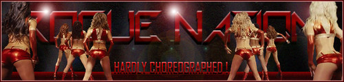 Troupe Banner.jpg
