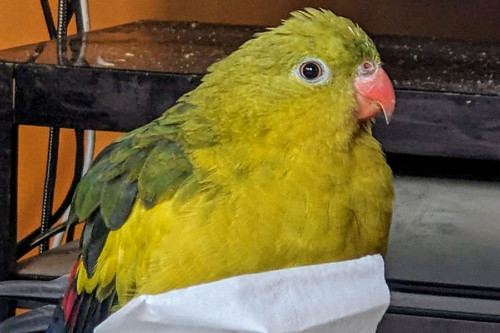 rJ1lTEskzr0UROcnCJ8J9AH1FvtbGCKjP7uzT981Ls8ZdjcxH599 5 7lk2Ua40R 0Nq1b8eK35NRdClkePWGKJzGxDU2dHlKFMD.jpg