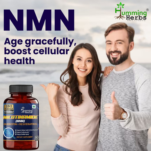 Affordable Nicotinamide Mononucleotide Supplement.jpg