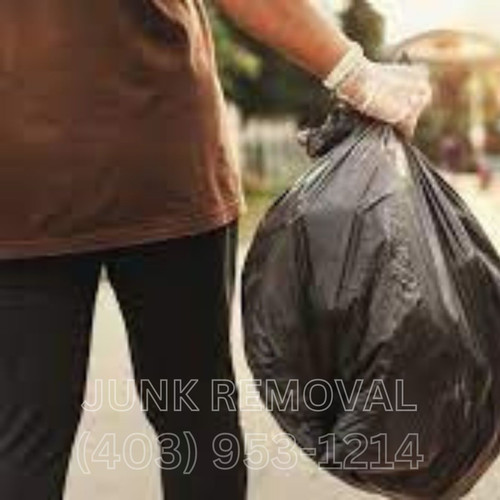 junk1.jpg