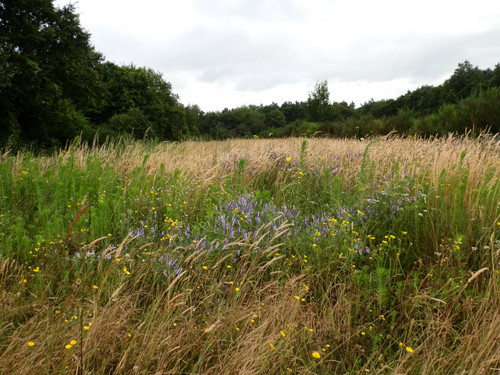 Ormes Domaine de la Canaudière 19