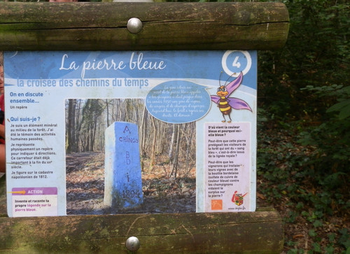 Ormes Domaine de la Canaudière 17