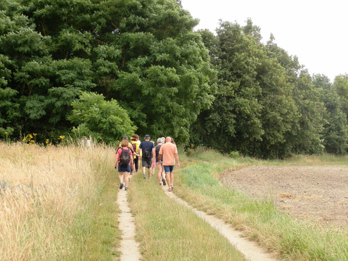 Ormes Domaine de la Canaudière 16