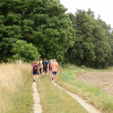 Ormes Domaine de la Canaudière 16