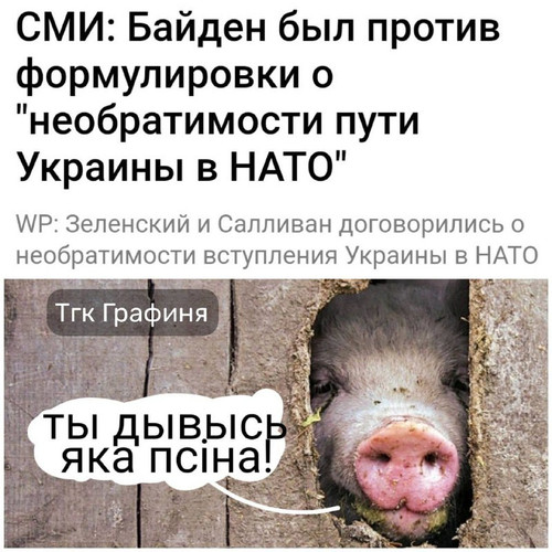 CXymSaOO2GuVp3hQuZzPugDMZxUi7YkM 9GvE3S5BoW7NMIr5WuCwYLqxWhkda9bC1z naaatwe6BA4laOcmdaySch5fzWc a7Ji.jpg
