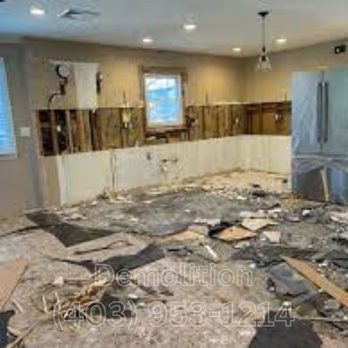 Demolition 5.jpg