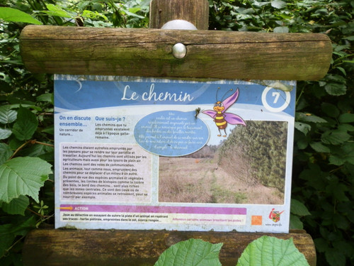 Ormes Domaine de la Canaudière 22