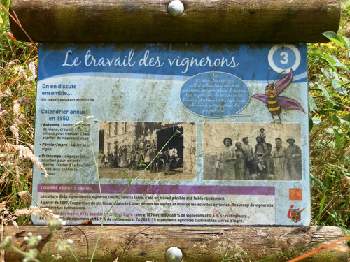 Ormes Domaine de la Canaudière 20