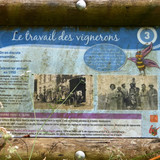 Ormes Domaine de la Canaudière 20