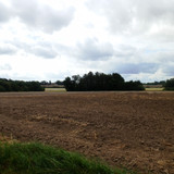 Ormes Domaine de la Canaudière 21