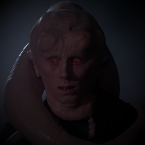 bib3 05.png